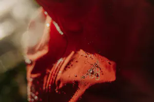 Hovedbilde 7Mesh Guardian Apex Jacket